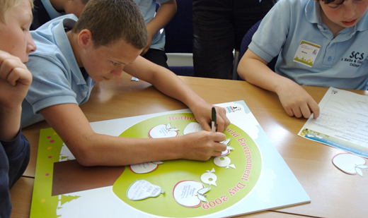 Solar Cinema Activities