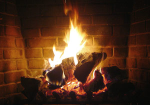 Wood is not a carbon neutral fuel